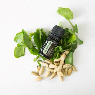 EU Cardamom 5 ml 2